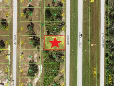 PLACIDA FL Property
