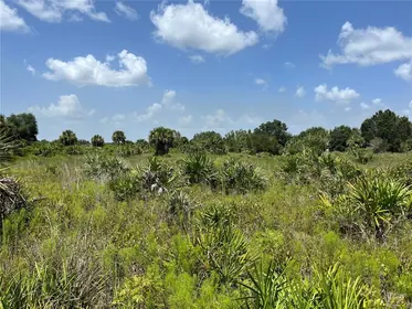 OKEECHOBEE FL Property