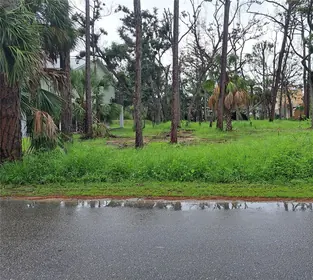STEINHATCHEE FL Property