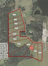 DADE CITY FL Property