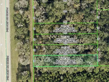 BROOKSVILLE FL Property