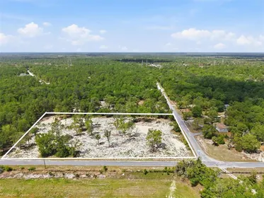 WEEKI WACHEE FL Property