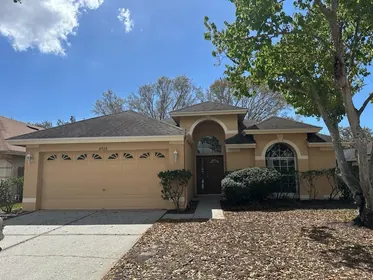 TAMPA FL Home