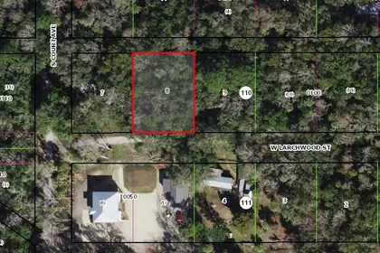 HOMOSASSA FL Property