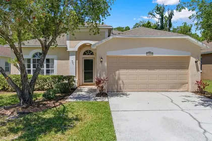 TAMPA FL Home