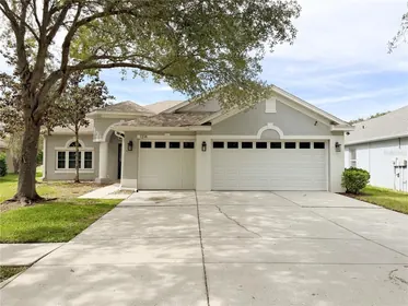 VALRICO FL Home