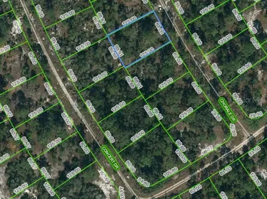LAKE PLACID FL Property