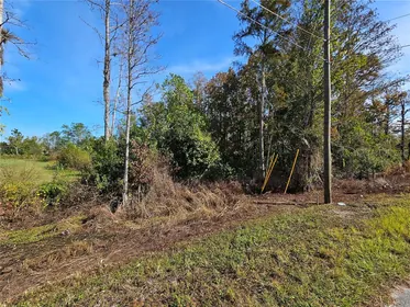 ST CLOUD FL Property