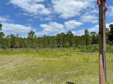 HOMOSASSA FL Property