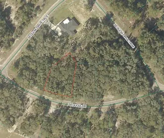 OCKLAWAHA FL Property