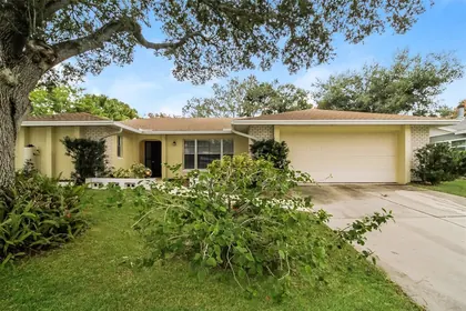 ALTAMONTE SPRINGS FL Home