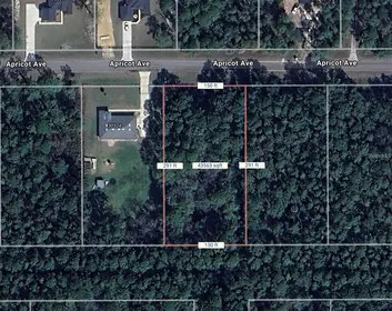 EUSTIS FL Property