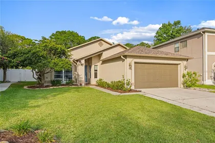 OLDSMAR FL Home