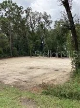 WEBSTER FL Property