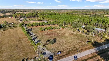 LITHIA FL Property