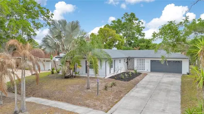 ORLANDO FL Home