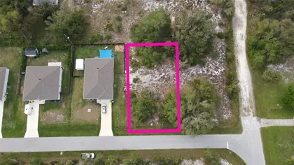 PUNTA GORDA FL Property