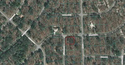 OCKLAWAHA FL Property