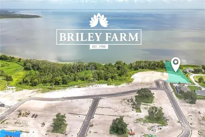 OAKLAND FL Property