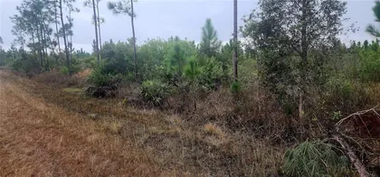 INDIAN LAKE ESTATES FL Property