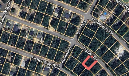 OCKLAWAHA FL Property