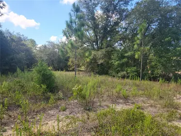DUNNELLON FL Property