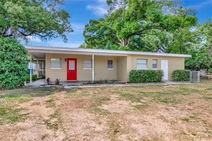 BRANDON FL Home