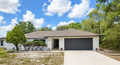 SPRING HILL FL Home