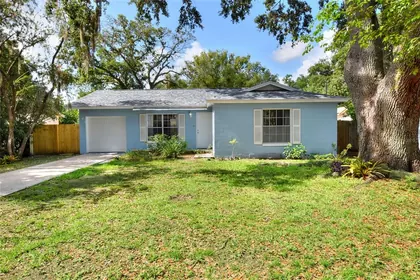 BRANDON FL Home