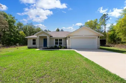 OCKLAWAHA FL Home