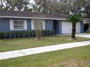 BRANDON FL Home