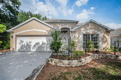 TARPON SPRINGS FL Home