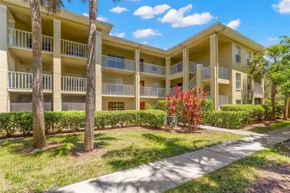 PALM HARBOR FL Home