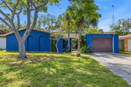 PORT RICHEY FL Home