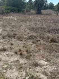 LEHIGH ACRES FL Property