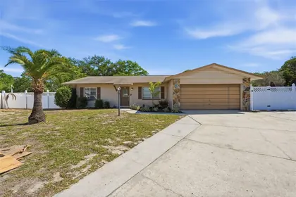 TARPON SPRINGS FL Home