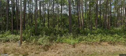 GEORGETOWN FL Property