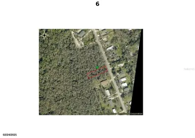 NEW SMYRNA BEACH FL Property