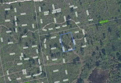 SEBRING FL Property
