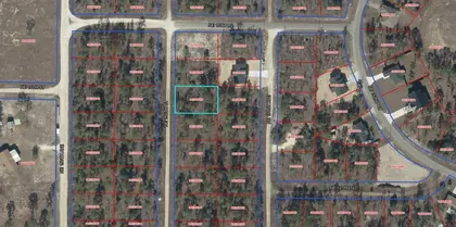 WILLISTON FL Property