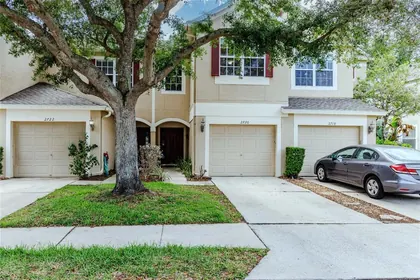 BRANDON FL Home