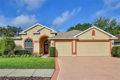 SPRING HILL FL Home