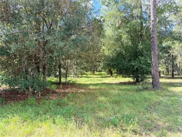 GROVELAND FL Property