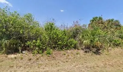 PORT CHARLOTTE FL Property