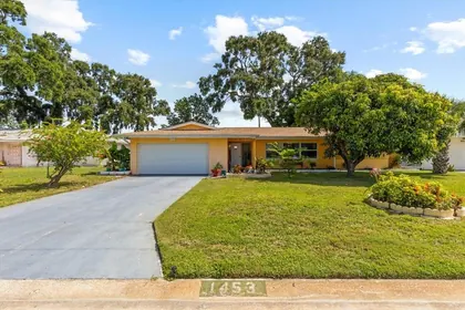 ST PETERSBURG FL Home