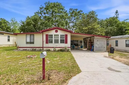 LAKE ALFRED FL Home