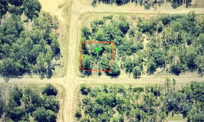 DUNNELLON FL Property