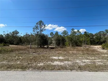LEHIGH ACRES FL Property