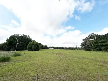 WEIRSDALE FL Property