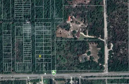 OSTEEN FL Property